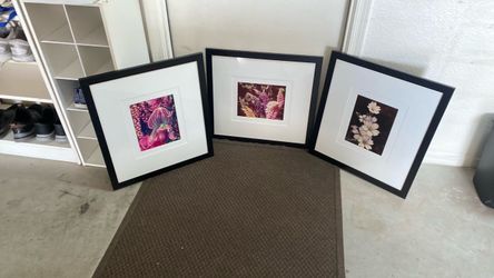 Set of 3 Framed Pictures Desert Prints