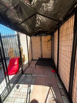 Dog Kennel