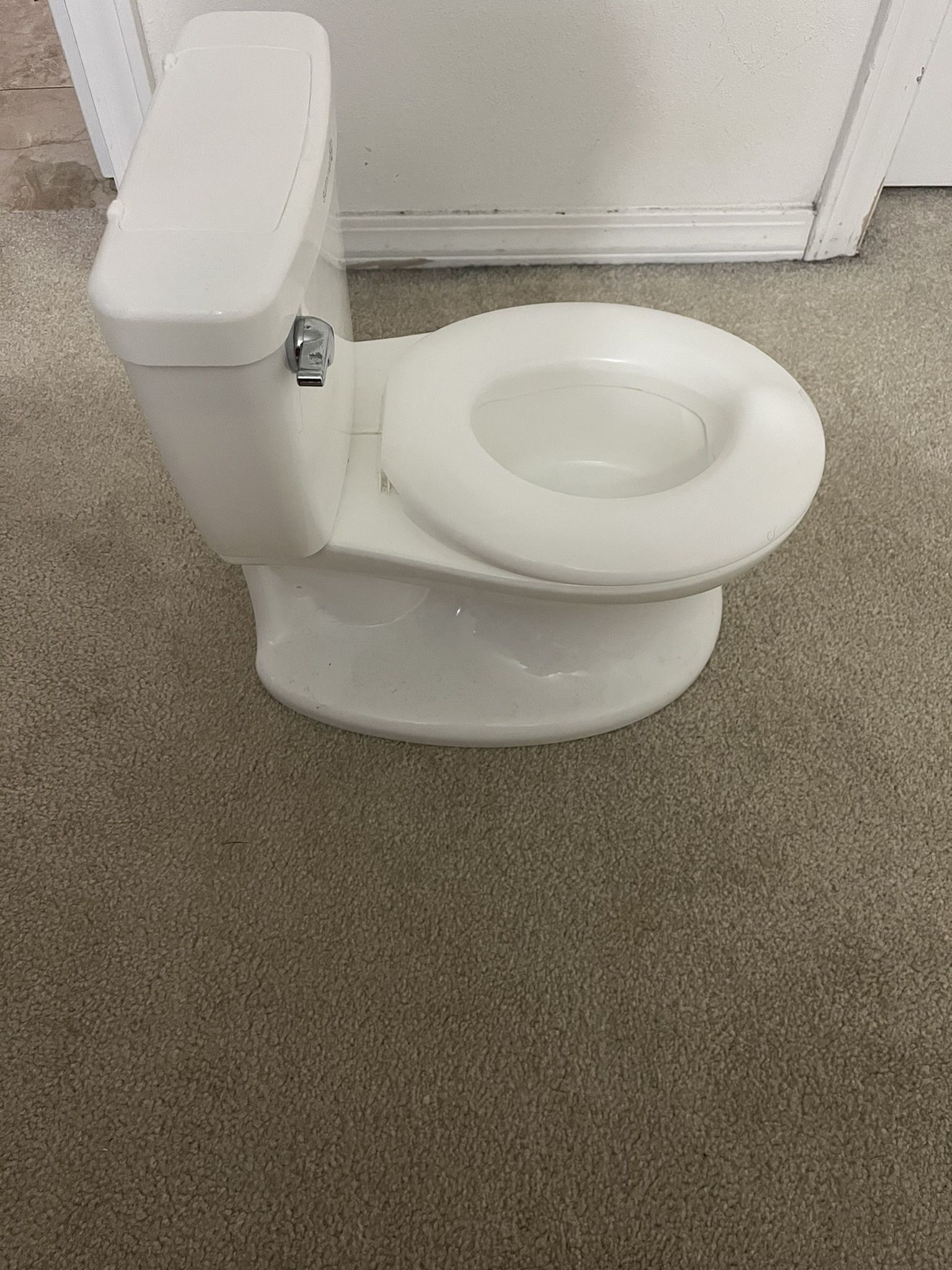 Potty Train Toilet