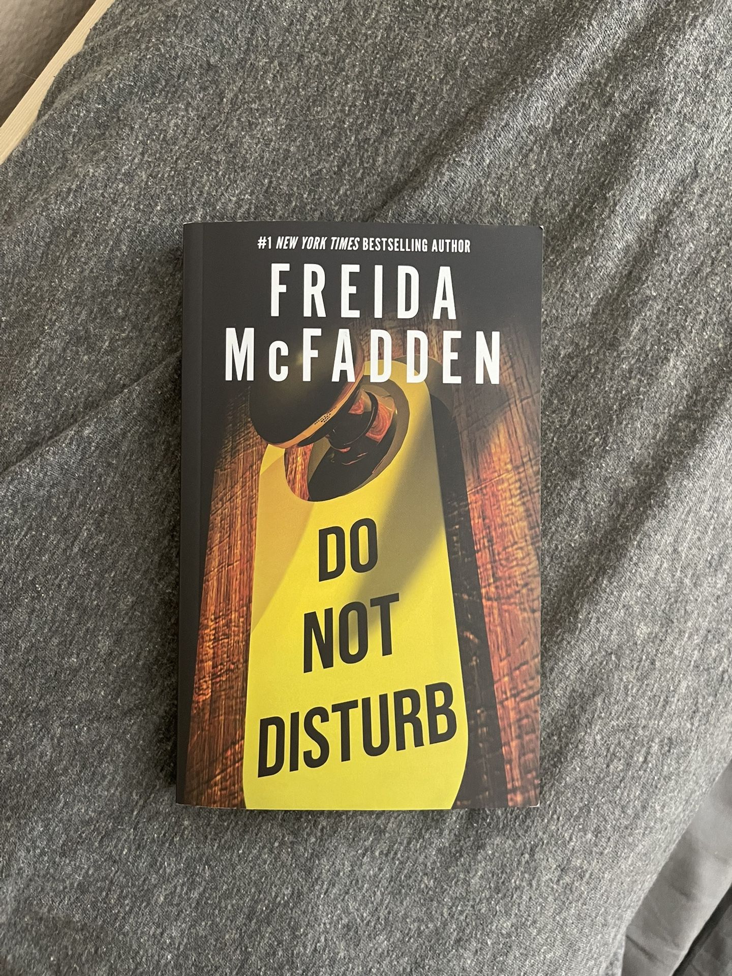 Do Not Disturb by Freida McFadden 