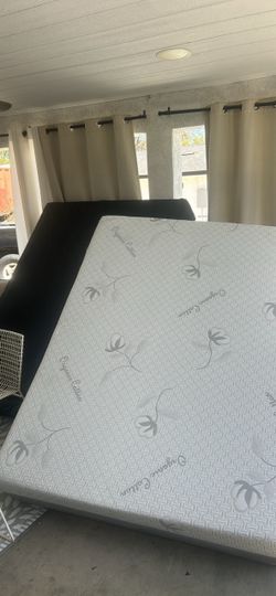 Organic cotton mattress and box