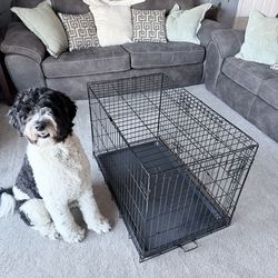 Dog Crate