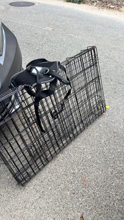 Dog crate with dog harness and leash