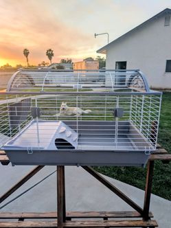 Guinea pig/ Hampster Cage