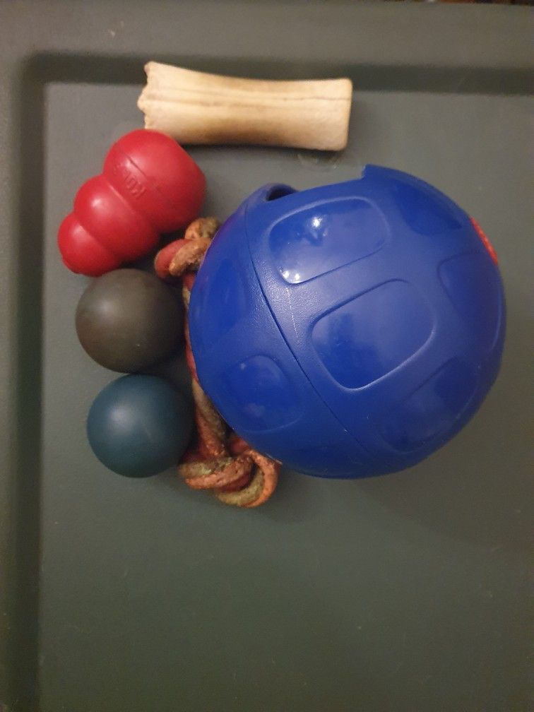 Dog Toys