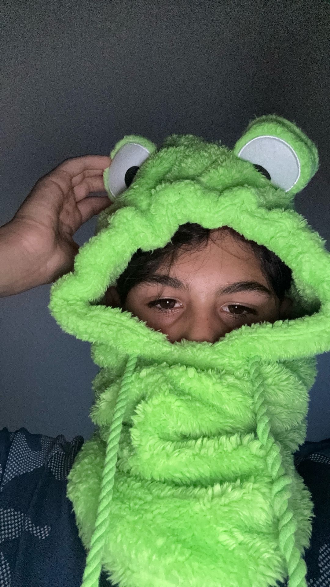 hood of a frog