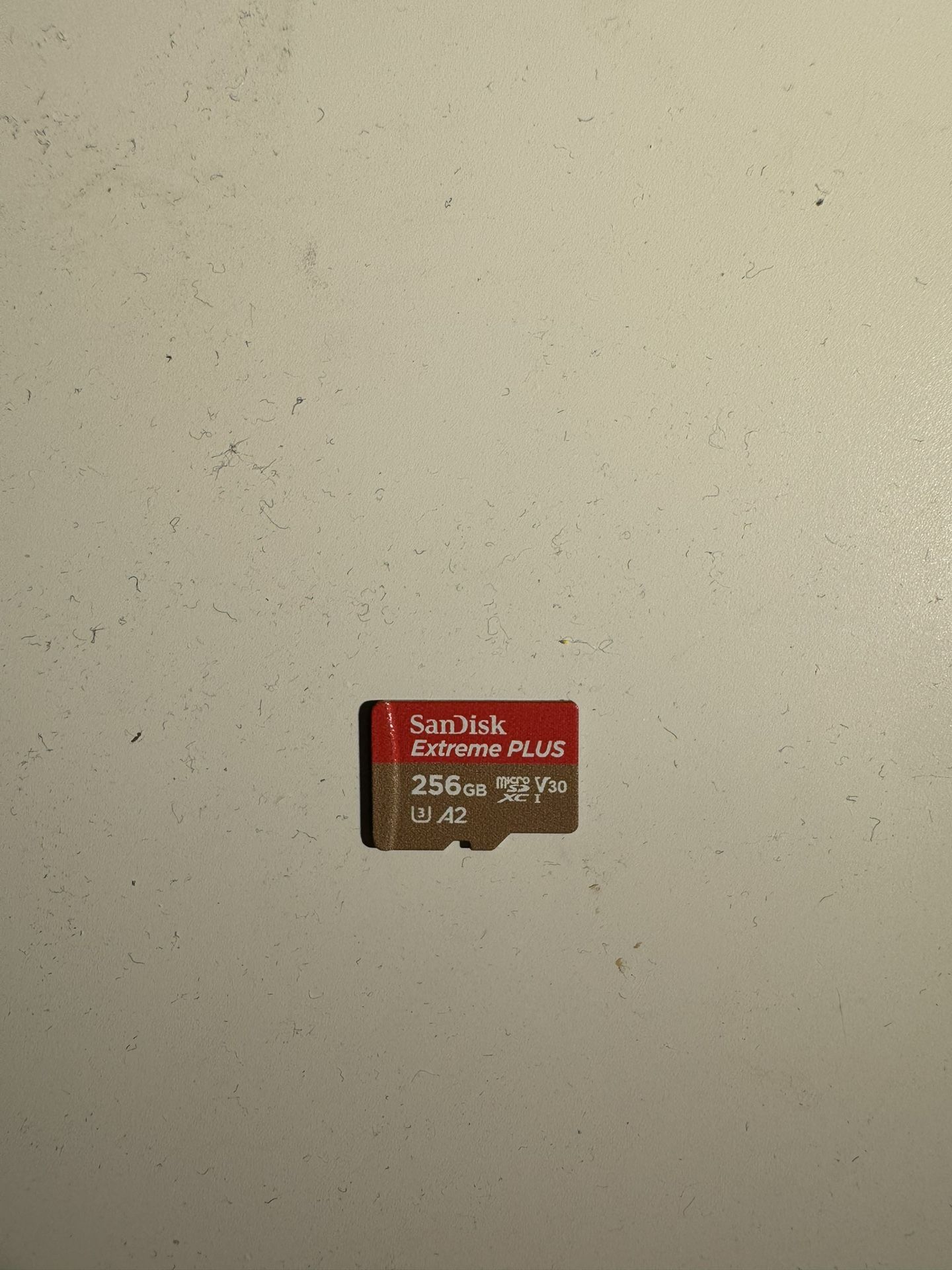 SanDisk 256GB MicroSD Card