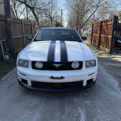 2005 Mustang Gt 