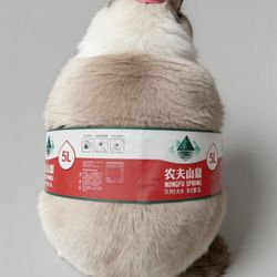 E8_(contact info removed)8