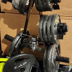 Olympic Weights Rack