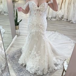 D2642 essense of australia online