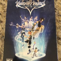 PSP Kingdom Hearts Birth By Sleep