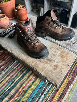irish setter con casquiyo 9.5