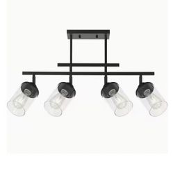 4-Light Black Track Ceiling Light Fixture