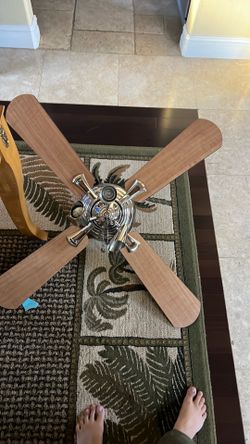Ceiling fan