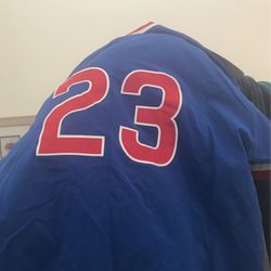 Cubs jersey for Sale in New Jersey - OfferUp