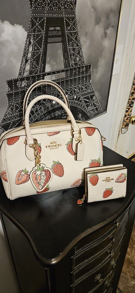 Coach Bag And Wallet 