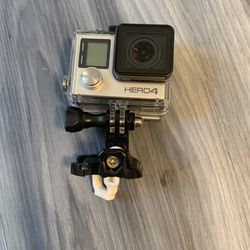 Go Pro