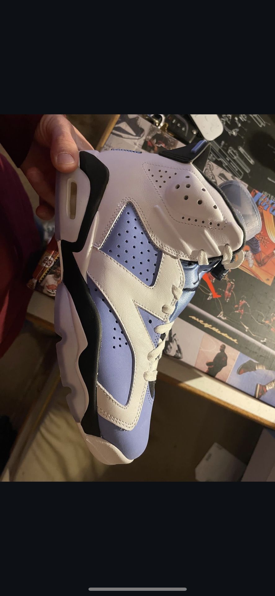 Jordan 6 UNC 