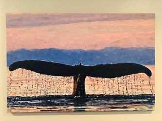 Wale’s tail in sunset print