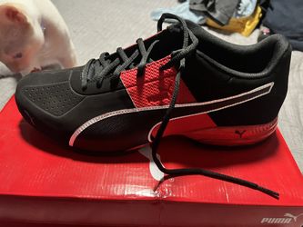 Puma Size 12