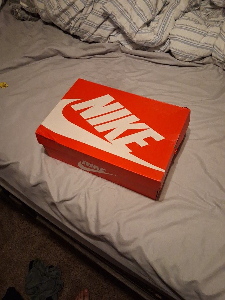 Nike Dunks