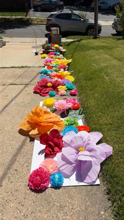 Tissue paper flowers bulk (already made)