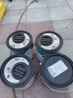 New Paint.  Interior.