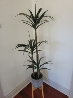 Faux Palm Tree And Stand