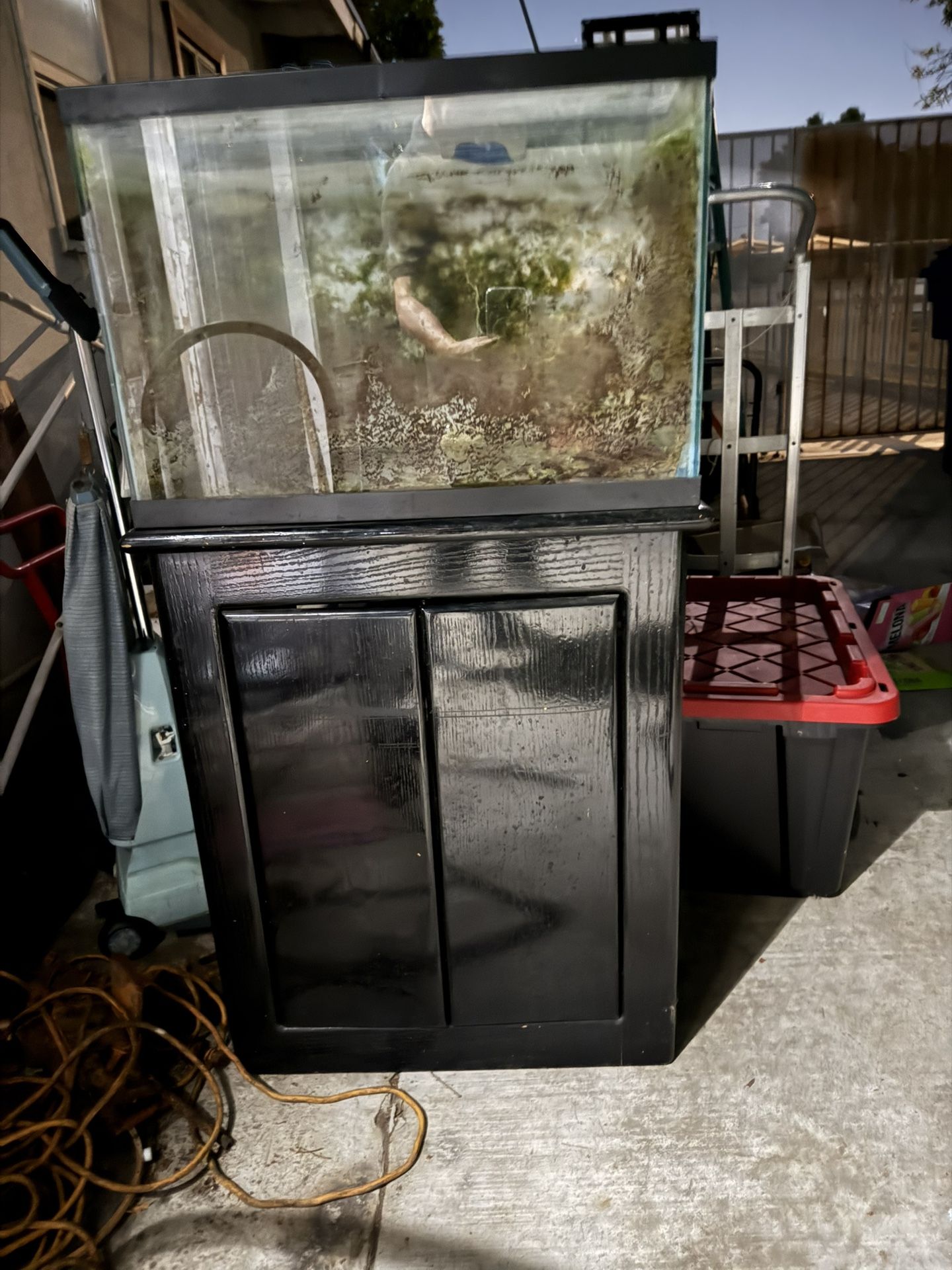 Fish Tank