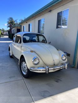 1969 Volkswagen Bug