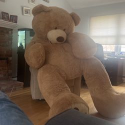 8ft Teddy Bear