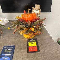 Home Decor - Holiday - Succulent 