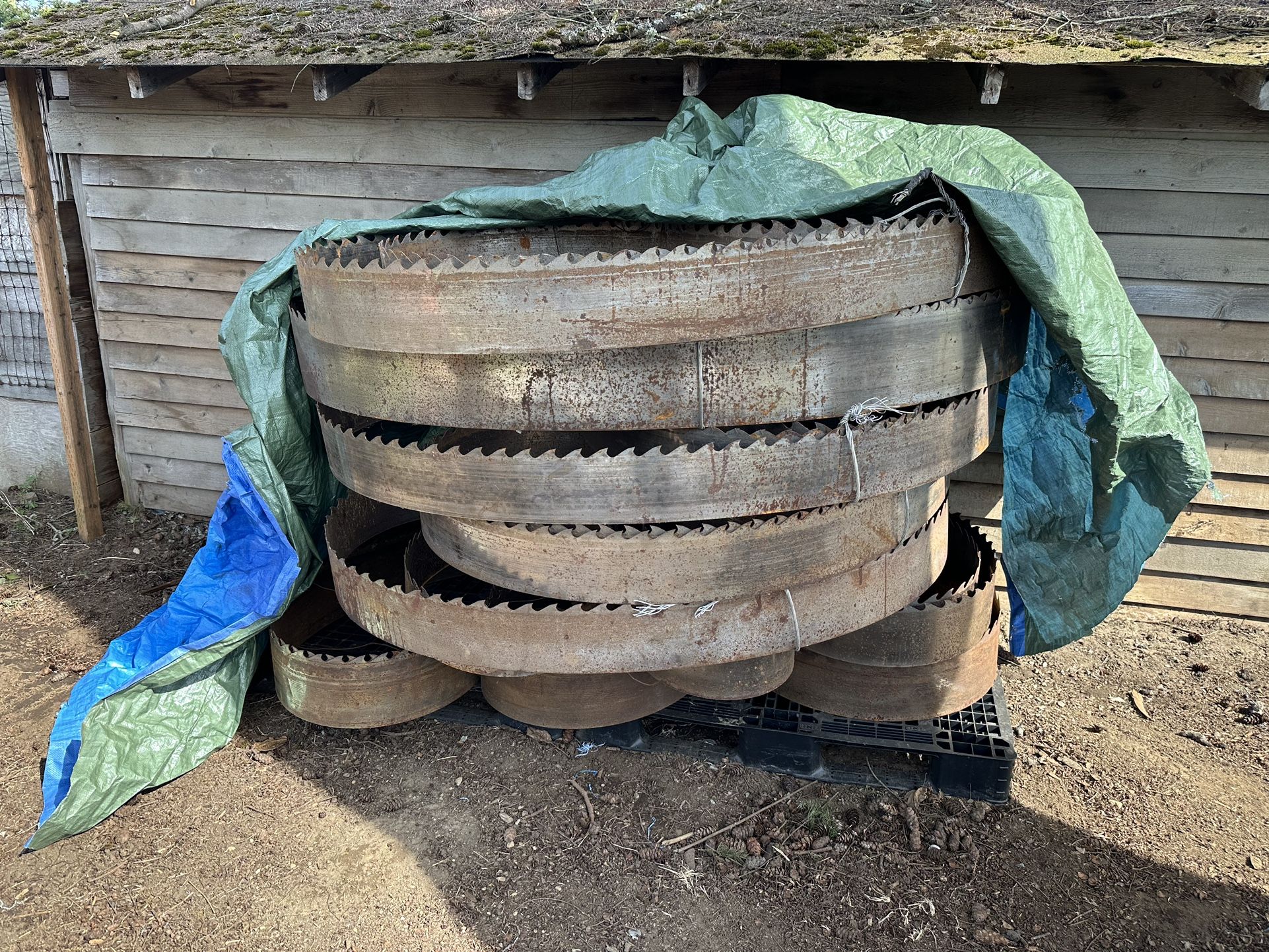 Bandsaw Blades