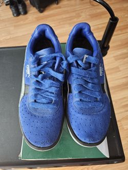 Puma GV Special VL Jr