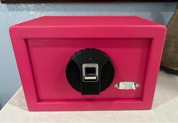 Pink Biometric Fingerprint Safe