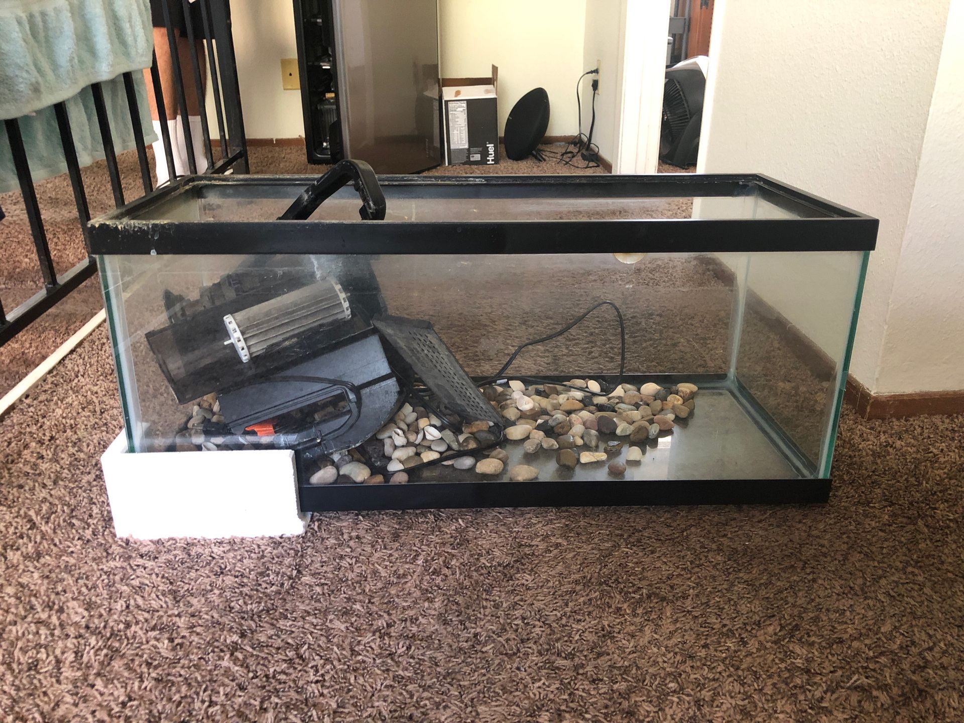 20gal turtle/fish tank