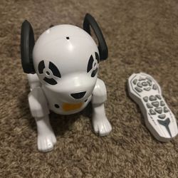 Robot Dog