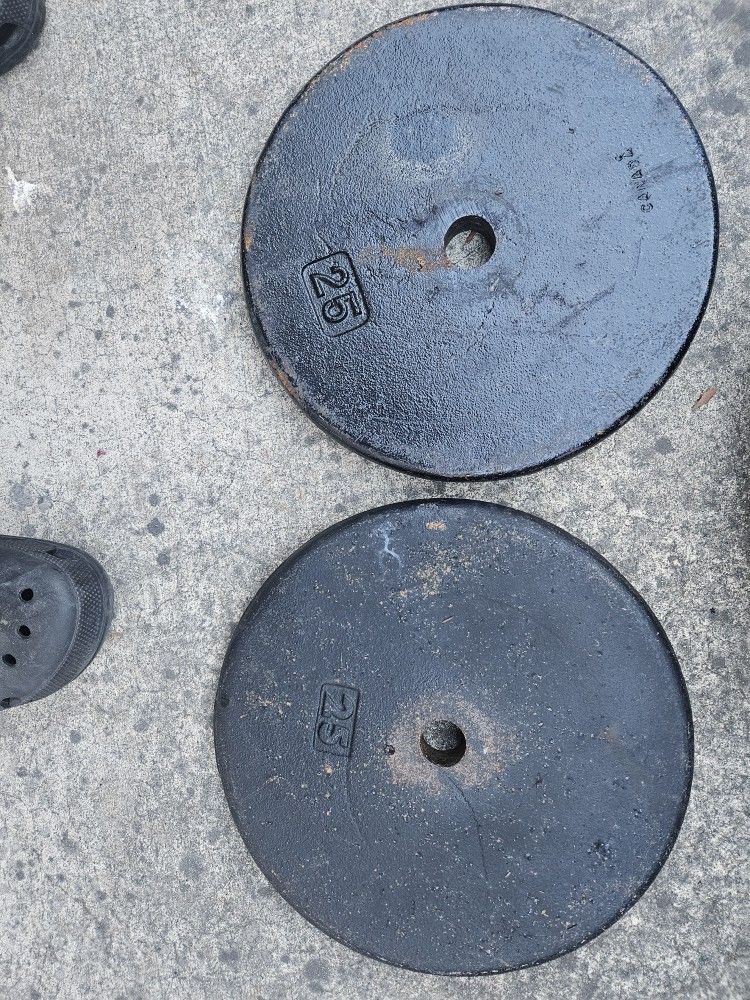Two 25 Pounds 1" Weights 50 Pounds Total