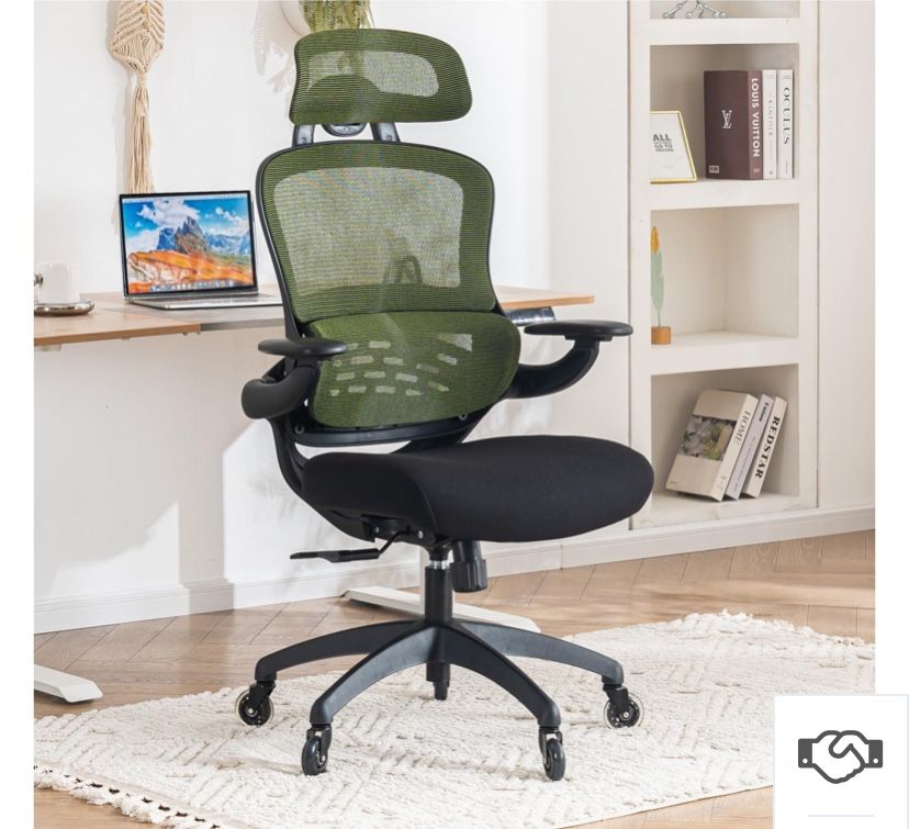YOUTASTE Executive Ergonomic Reclining Office Chair (Green/Blk)