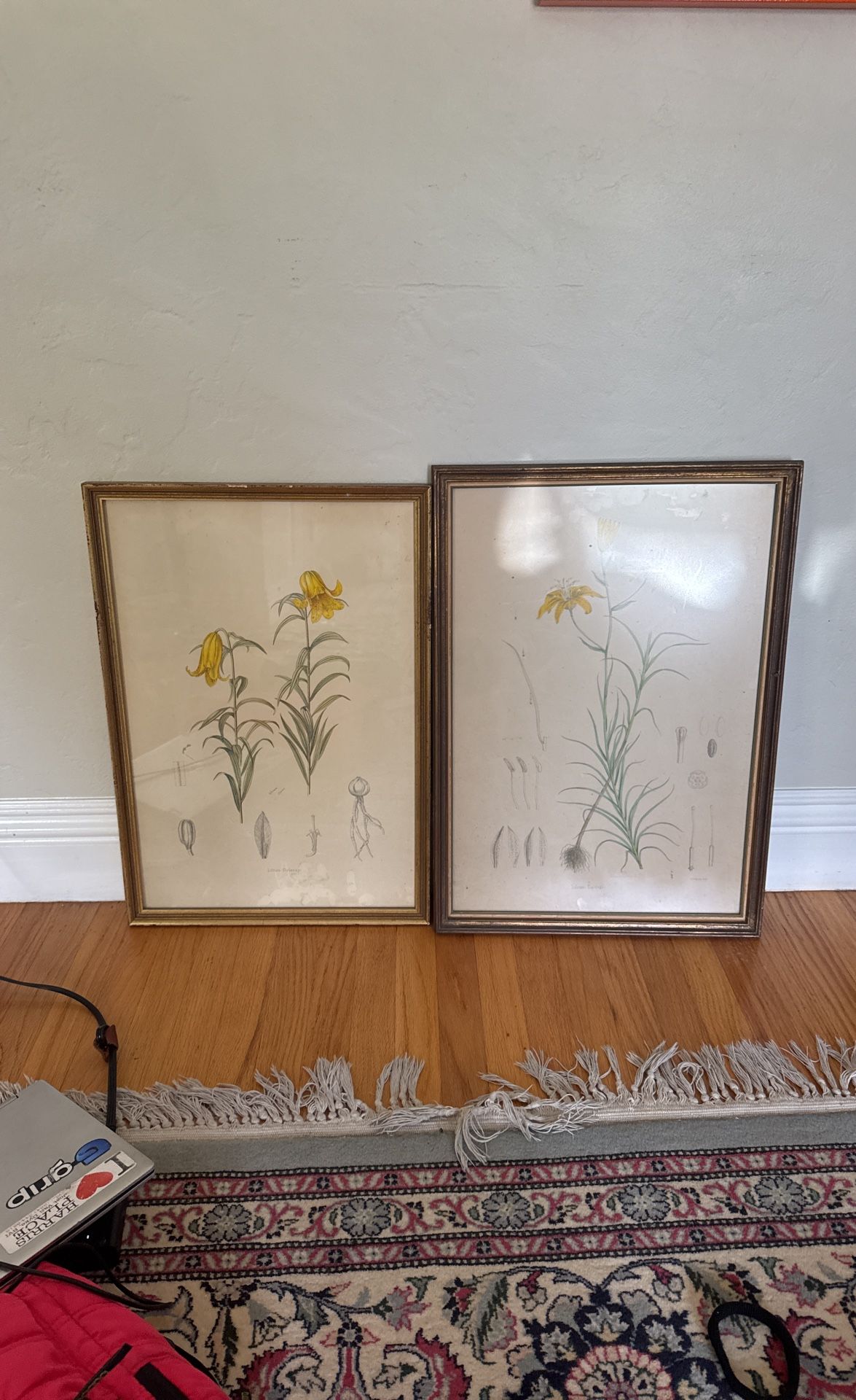 David’s Lily Prints Both For $75,All Products : American Fashion Style Bags On Sale