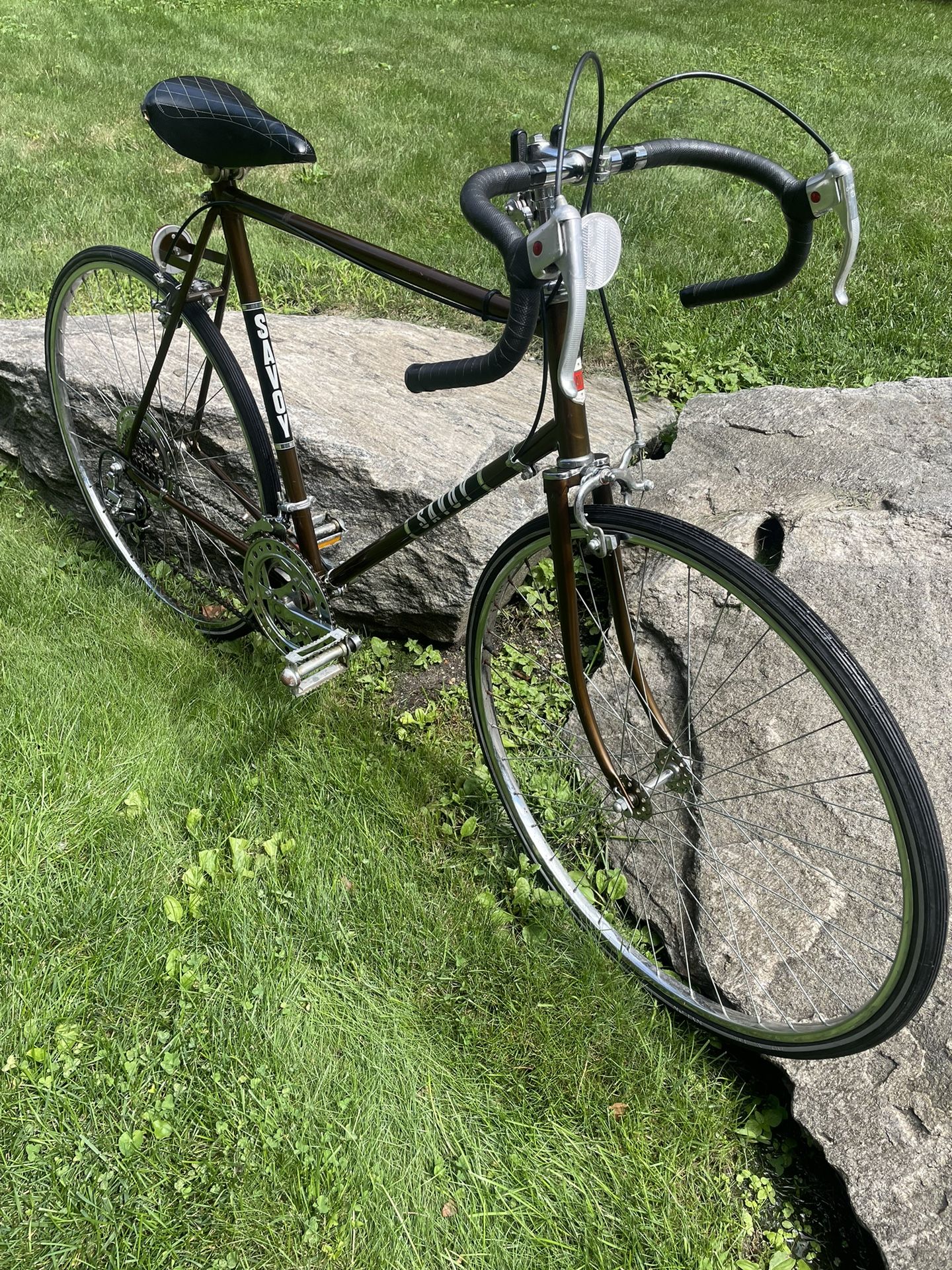 Savoy 10 Speed Road Bike