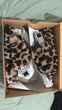 Uggs