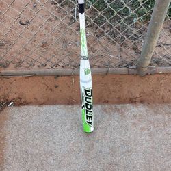 Softball Bat 