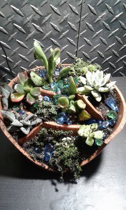 Mini Fairy Garden