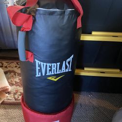 everlast Pinching bag Fitness