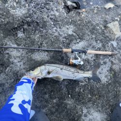 Fenwick Hmg Inshore Fishing Rod 