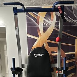 Fitness Gear Power Tower