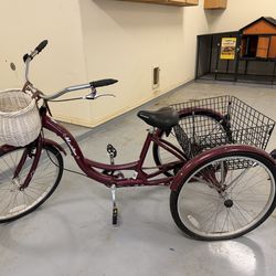 Schwinn Tricycle Bike