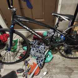 Intense Podium Expert 24 Inch Cruiser